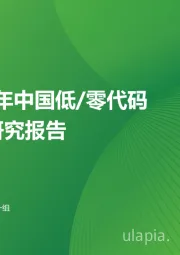2023年中国低/零代码行业研究报告