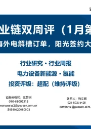 氢能产业链双周评（1月第2期）：双良、隆基中标海外电解槽订单，阳光签约大安GW级氢能项目