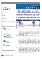 中国电子元器件行业展望，2024年1月