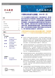 中国民用机场行业展望，2024年1月