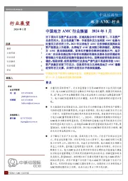 中国地方AMC行业展望 2024年1月