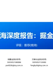 中国短剧出海深度报告:掘金蓝海新赛道