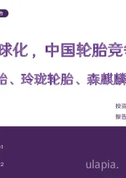 轮胎行业专题报告：高性价比+全球化，中国轮胎竞争力持续提升 推荐赛轮轮胎、玲珑轮胎、森麒麟和三角轮胎