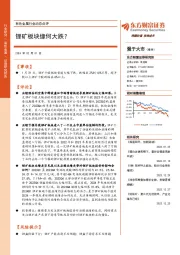 有色金属行业动态点评：锂矿板块缘何大跌？