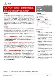 风驰“电车”系列2：碳酸锂价格趋底，锂电正极材料的春天还有多远？