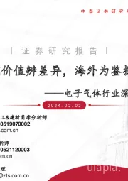 电子气体行业深度报告:长期价值辨差异,海外为鉴探新机