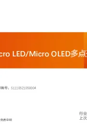 新型显示行业专题研究：Mini LED/Micro LED/Micro OLED多点开花，产业链如何聚焦？