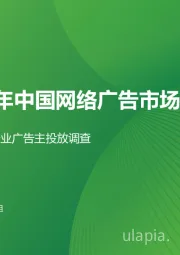2023年中国网络广告市场研究：垂直行业广告主投放调查