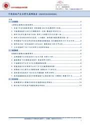 中国房地产企业资讯监测报告