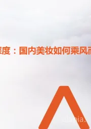美容护理行业深度：国内美妆如何乘风而行