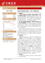电力设备深度报告：智能电表渗透率加速提升，国内厂商乘势出海