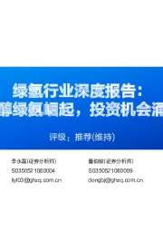 绿氢行业深度报告:绿醇绿氨崛起,投资机会涌现