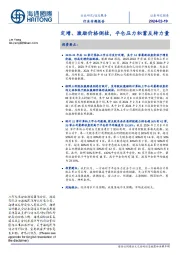 信息服务行业专题报告：定增、激励价格倒挂，平仓压力积蓄反转力量