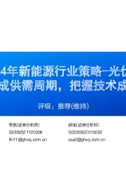 2024年新能源行业策略-光伏:守成供需周期,把握技术成长