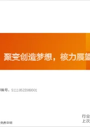机械设备:可控核聚变:聚变创造梦想,核力展望未来