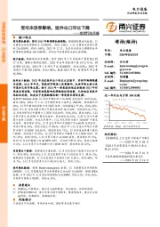 光伏行业月报：受年末淡季影响，组件出口环比下降