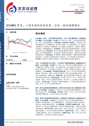 白色家电Ⅱ行业周报：2024W05黑电、小家电整体表现优秀，白电、厨电稳健增长