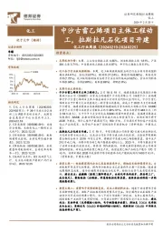 化工行业周报：中沙古雷乙烯项目主体工程动工，拉斯拉凡石化项目开建