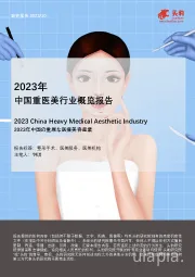 2023年中国重医美行业概览报告