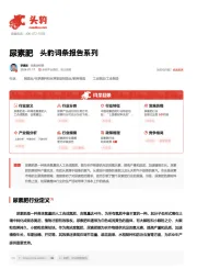 尿素肥 头豹词条报告系列