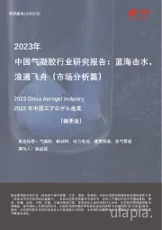2023年中国气凝胶行业研究报告：蓝海击水，浪遏飞舟（市场分析篇）（摘要版）