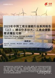 2023年中国工商业储能行业系列报告（上）：峰谷价差拉大，工商业储能需求爆发可期（摘要版）