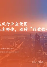 高尿酸血症和痛风行业全景图:国内千万痛风患者群体,亟待“疗效佳安全优”新药