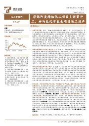 化工新材料行业周报：华锦阿美精细化工项目主装置开工，神马氢化学氢氨项目竣工投产