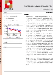 有色金属行业点评报告：期锂价格持续走高 或为消息面和资金面短暂推动