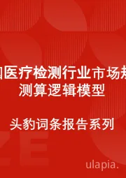 中国医疗检测行业市场规模测算逻辑模型 头豹词条报告系列