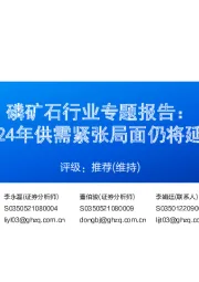 磷矿石行业专题报告:2024年供需紧张局面仍将延续