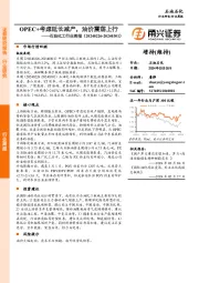 石油化工行业周报：OPEC+考虑延长减产，油价震荡上行