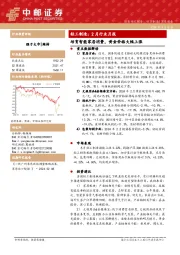 轻工制造：2月行业月报：培育智能家居消费，黄金价格大幅上涨