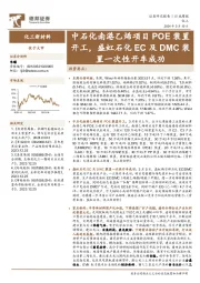 化工新材料行业周报：中石化南港乙烯项目POE装置开工，盛虹石化EC及DMC装置一次性开车成功