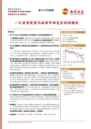 旅游景区行业专题报告：一文讲清楚国内旅游市场复苏的持续性