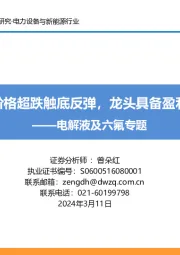电解液及六氟专题:六氟价格超跌触底反弹,龙头具备盈利弹性
