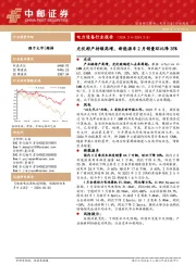 电力设备行业报告 （ 2 0 2 4 . 3 . 4 - 2 0 2 4 . 3 . 8 ）光伏排产持续高增，新能源车2月销量环比降35%