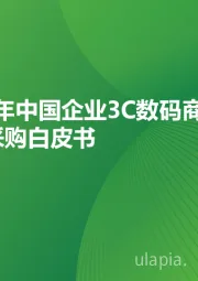 2024年中国企业3C数码商用品电商采购白皮书