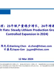 南美盐湖梳理：23年锂产量稳步增长，24年增速可控