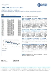 中国有色金属：解密中东，探索中资企业出海之路