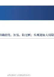 新能源Q2投资策略：两会明确固优、加氢、防过剩；乐观迎接大周期拐点