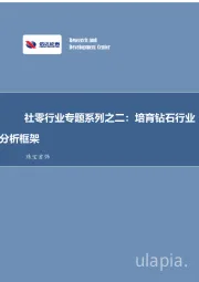 珠宝首饰行业专题:社零行业专题系列之二:培育钻石行业分析框架