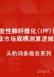 中国特发性肺纤维化（IPF）治疗药物行业市场规模测算逻辑模型 头豹词条报告系列
