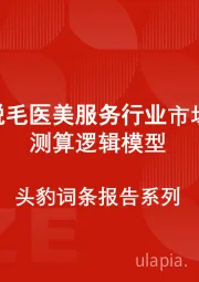 中国脱毛医美服务行业市场规模测算逻辑模型 头豹词条报告系列