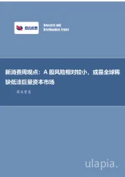 新消费周观点:A股风险相对较小,或是全球稀缺低洼巨量资本市场