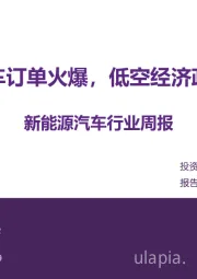 新能源汽车行业周报:小米汽车订单火爆,低空经济政策频出