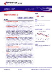 房地产行业深度报告：我国城镇化区域分化破境研究-城镇化的困境之斗