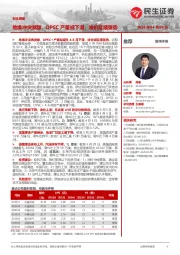 石化周报:地缘冲突发酵,OPEC产量或下滑,油价延续强势