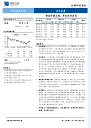 有色金属：黄金价格上涨，有色板块走强