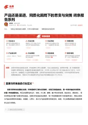 产品还是渠道，同质化困局下的思变与突围 词条报告系列